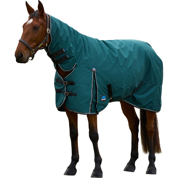 2025 WeatherBeeta Comfitec Classic Turnout Combo 1029069 - Forest Green